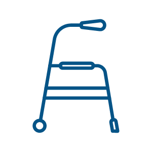 Servicio Andador