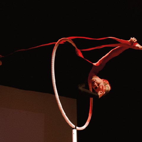 Aerial dance show 