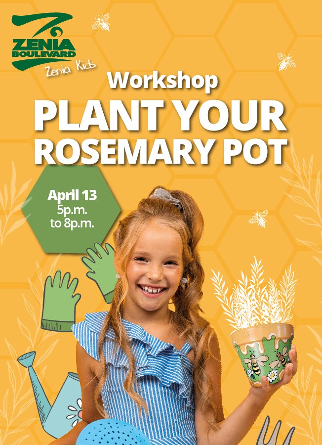 Plant Your Rosemary Pot