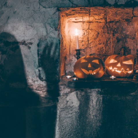 Vivez le côté le plus sombre d'Halloween à Zenia Boulevard.