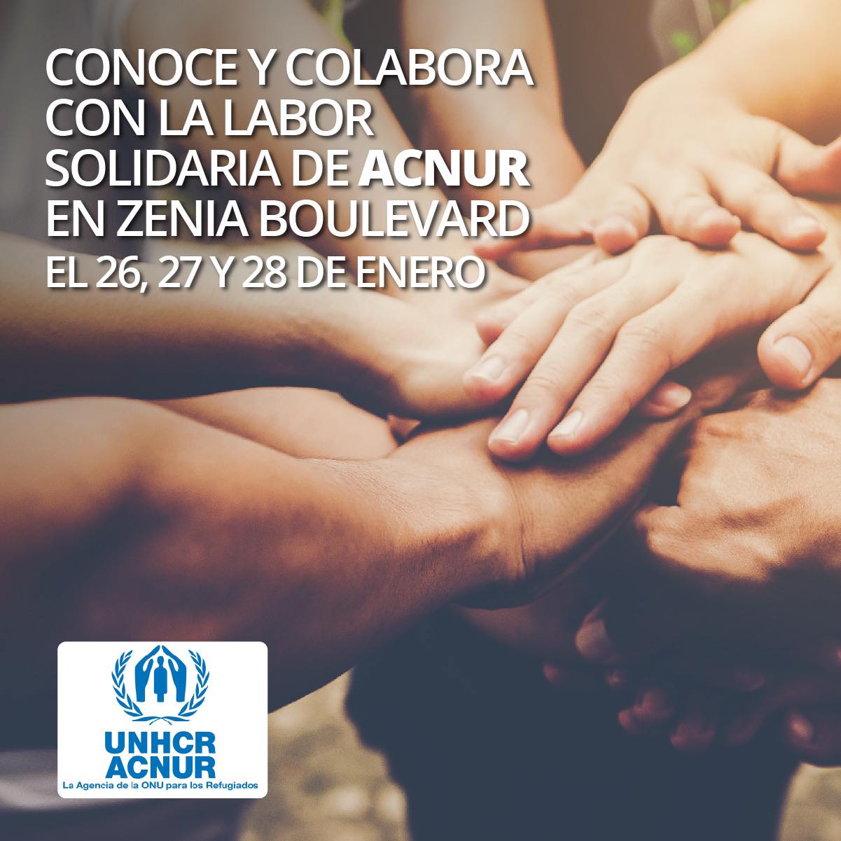 Foto noticia: Conoce y Colabora con Acnur | Zenia Boulevard