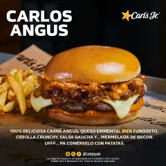 Carl's Jr